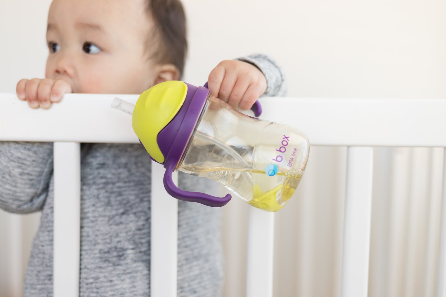 b.box NEW Sippy Cup - Deluxe Edition - PPSU - Pink Orange