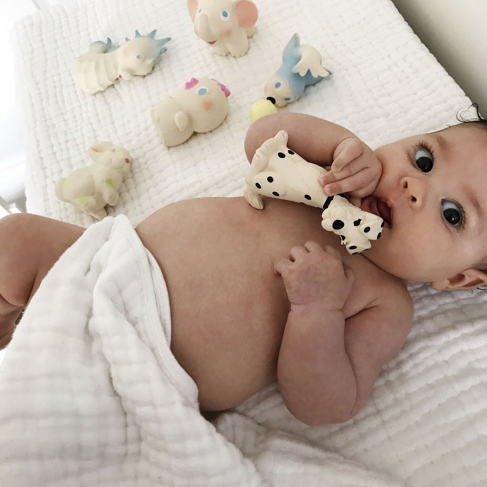 oli-&-carol-vintage-lolita-the-birdy-teether- (15)